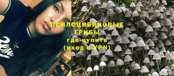марки nbome Аркадак