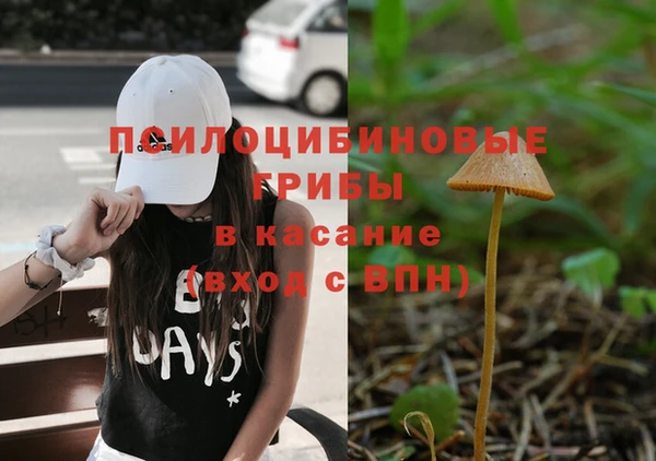 гидропоника Армянск