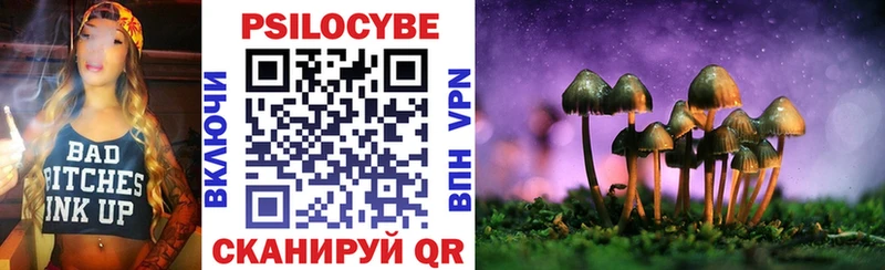 Купить  Карталы  Псилоцибиновые грибы MAGIC MUSHROOMS 
